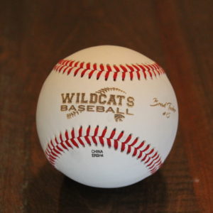Engraved Leather Baseball